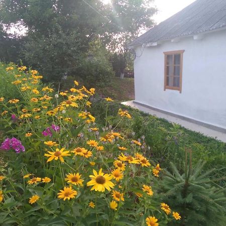 Villa Соколине Гніздо Dmitrenki Exterior foto