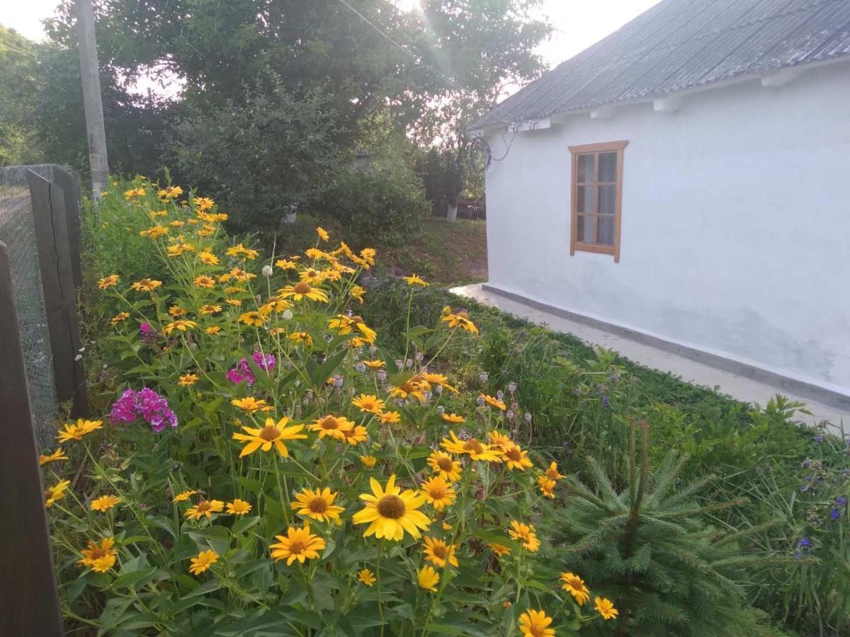 Villa Соколине Гніздо Dmitrenki Exterior foto