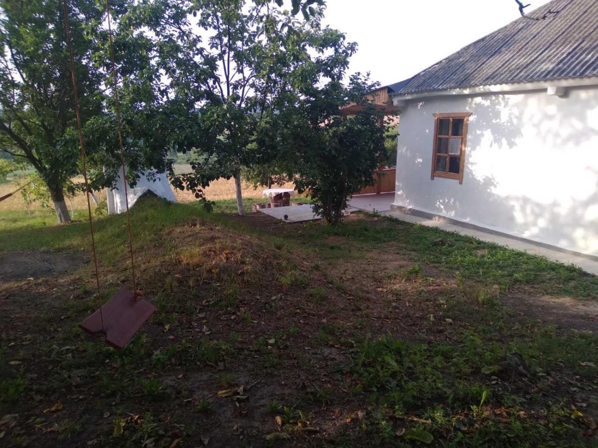 Villa Соколине Гніздо Dmitrenki Exterior foto