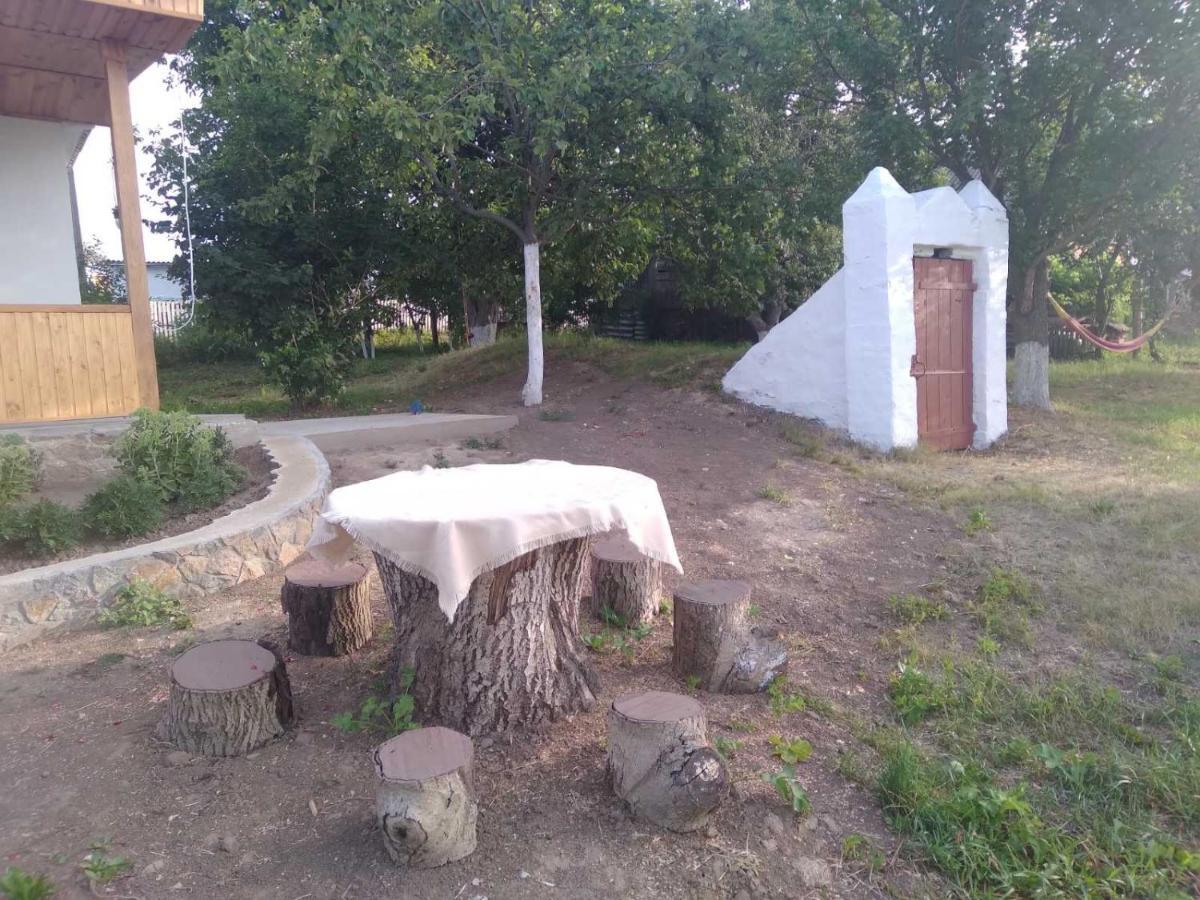 Villa Соколине Гніздо Dmitrenki Exterior foto