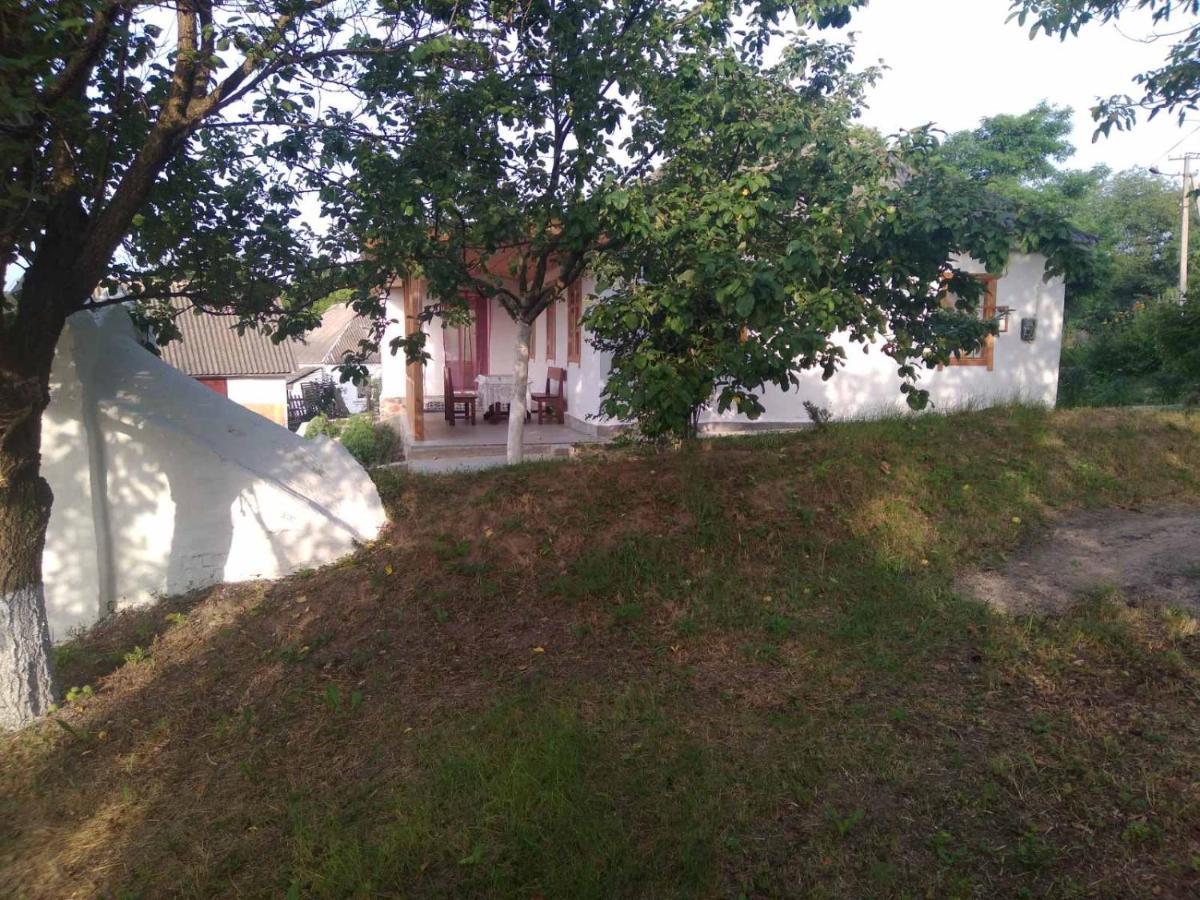 Villa Соколине Гніздо Dmitrenki Exterior foto